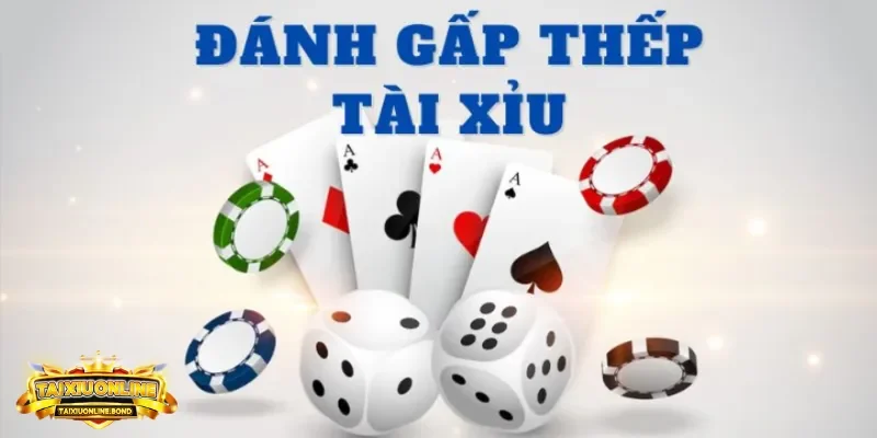 Cách chơi tài xỉu gấp thếp chiến thuật tăng tỷ lệ thắng 