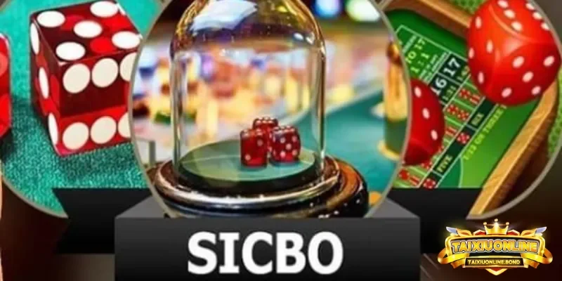 Sicbo trò chơi xúc xắc may mắn truyền thống